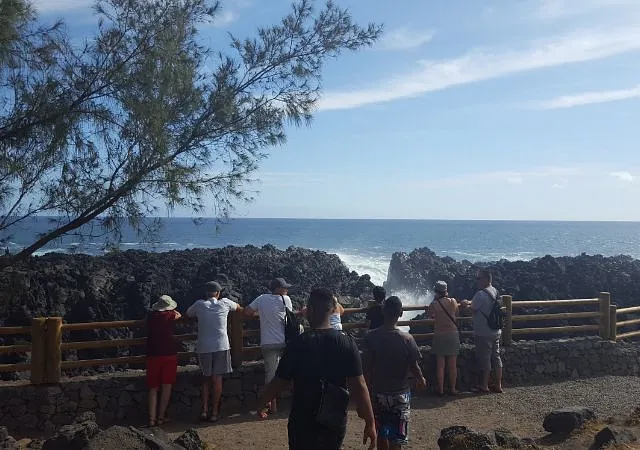 société de taxi n°26