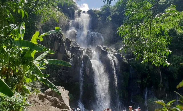 société de taxi n°6