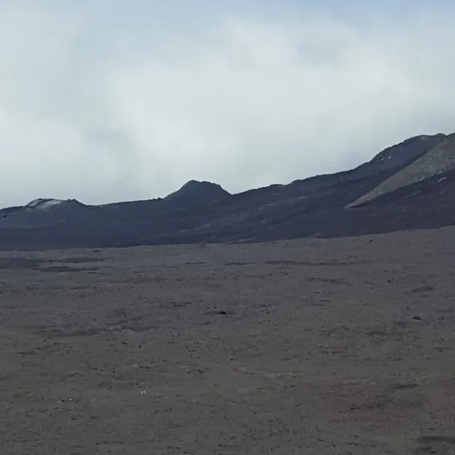 société de taxi n°25