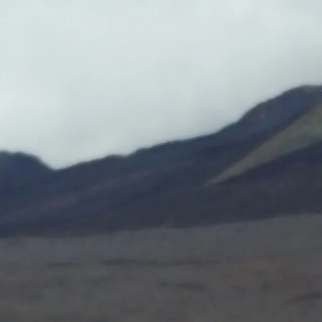 société de taxi n°24