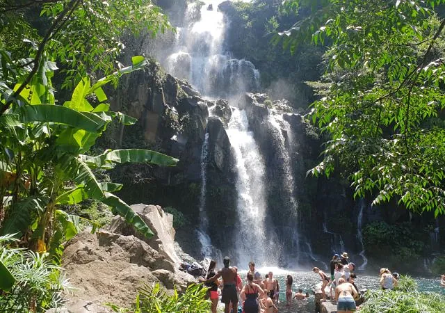 société de taxi n°8