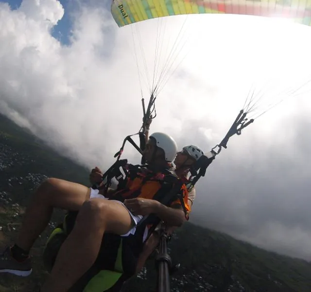 société de taxi n°11