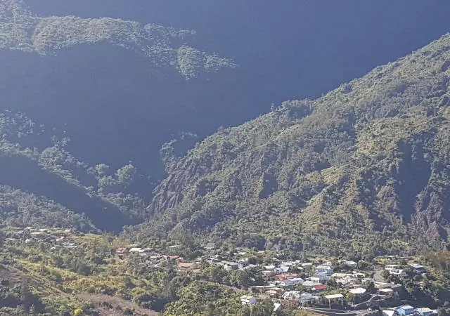 société de taxi n°3