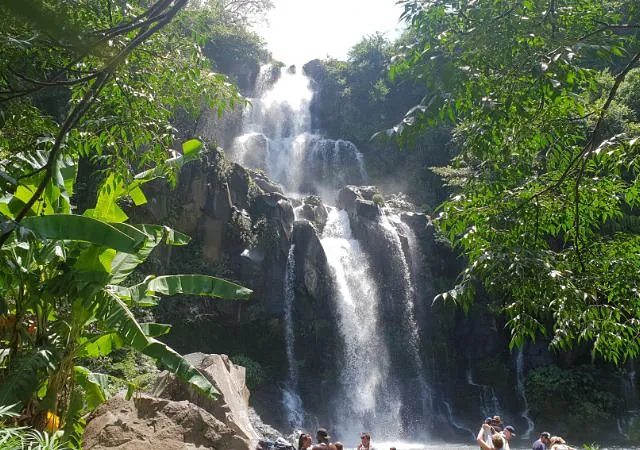 société de taxi n°7