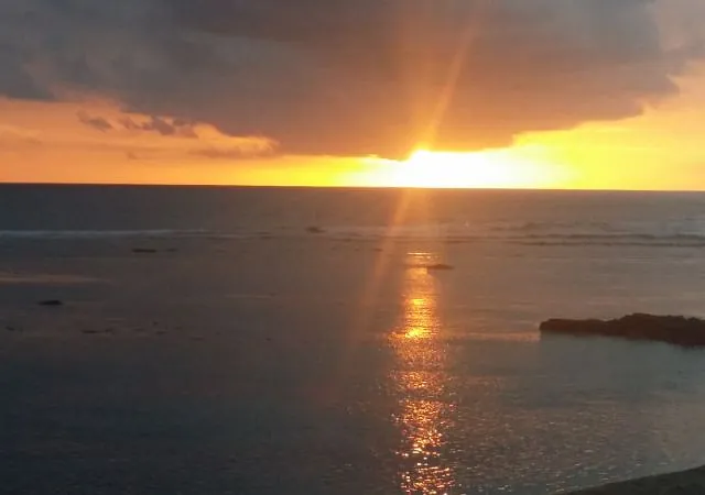 société de taxi n°22