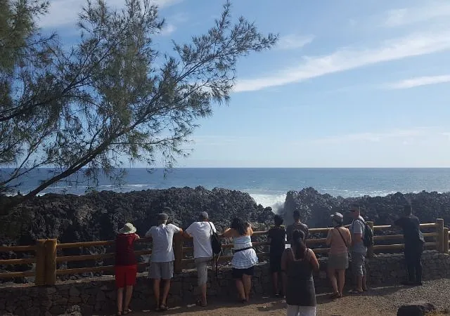 société de taxi n°1